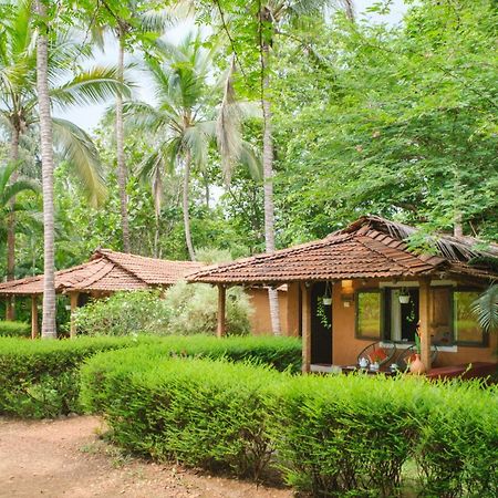 Nature'S Nest Eco Resort Goa, Near Dudhsagar Waterfalls Molem Bagian luar foto