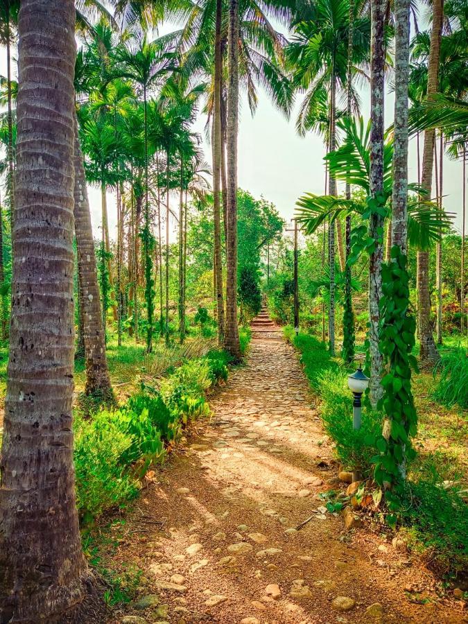 Nature'S Nest Eco Resort Goa, Near Dudhsagar Waterfalls Molem Bagian luar foto