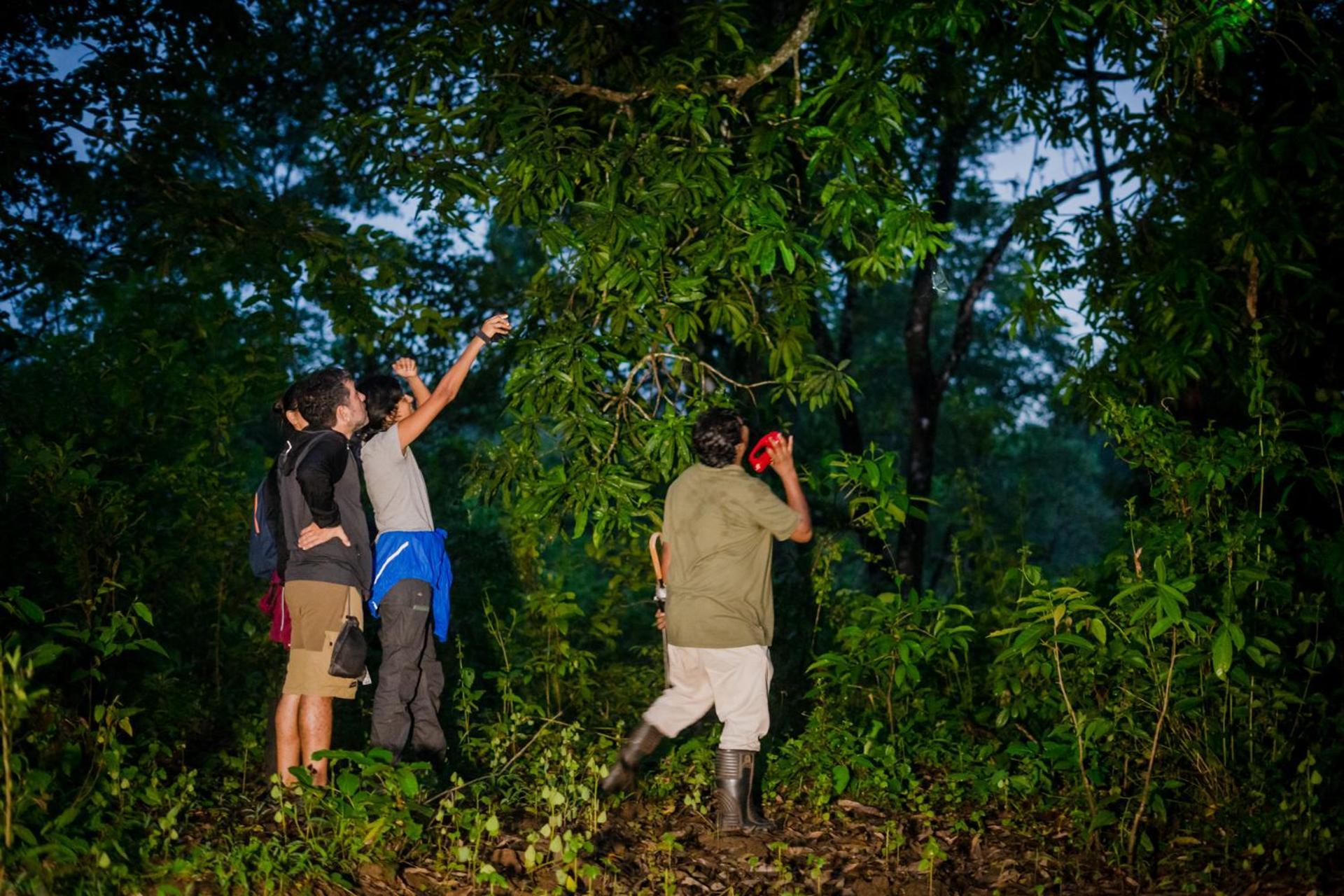 Nature'S Nest Eco Resort Goa, Near Dudhsagar Waterfalls Molem Bagian luar foto